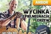 Zdjęcie do ogłoszenia: Wycinka drzew Wrocław ARBOR