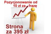 Zdjęcie do ogłoszenia: Reklama w Google Opole reklama w Internecie agencja reklamowa marketingowa seo