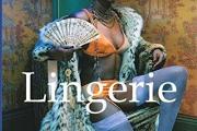 Zdjęcie do ogłoszenia: Lingerie - album historii bielizny